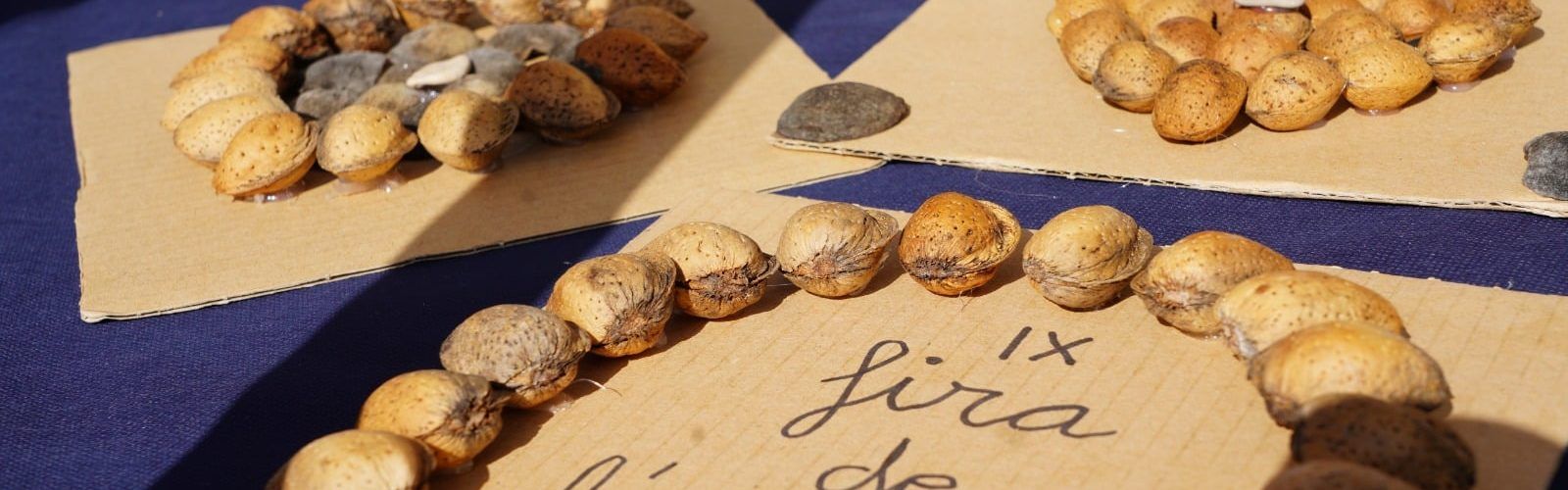 Avellanes i ametlles, tresors amagats del territori Human Land