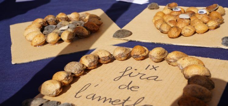 Avellanes i ametlles, tresors amagats del territori Human Land