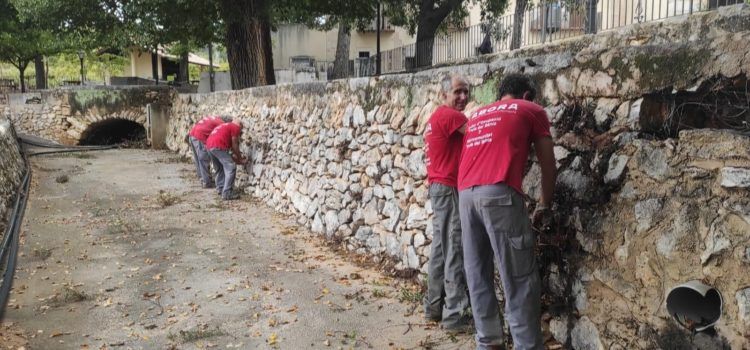 Els alumnes del taller d’ocupació de la Taula del Sénia netegen les restes vegetals del terme de Càlig