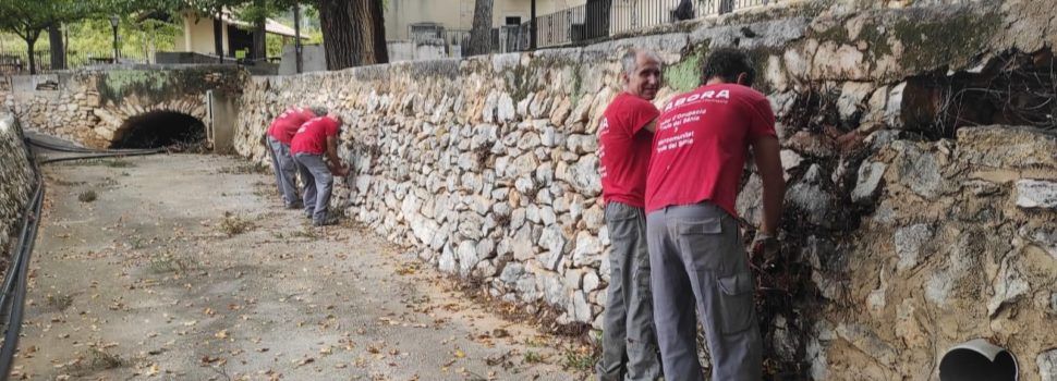 Els alumnes del taller d’ocupació de la Taula del Sénia netegen les  restes vegetals del terme de Càlig