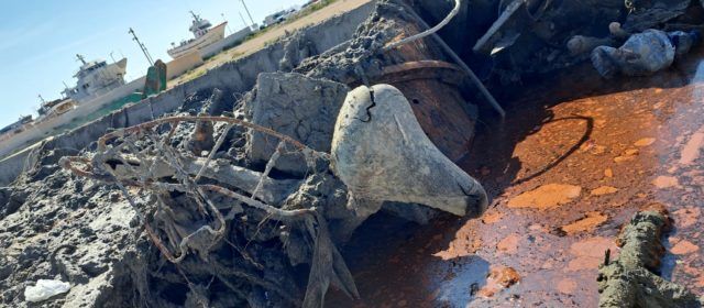 Al fons del port de Vinaròs no només hi ha sorra…