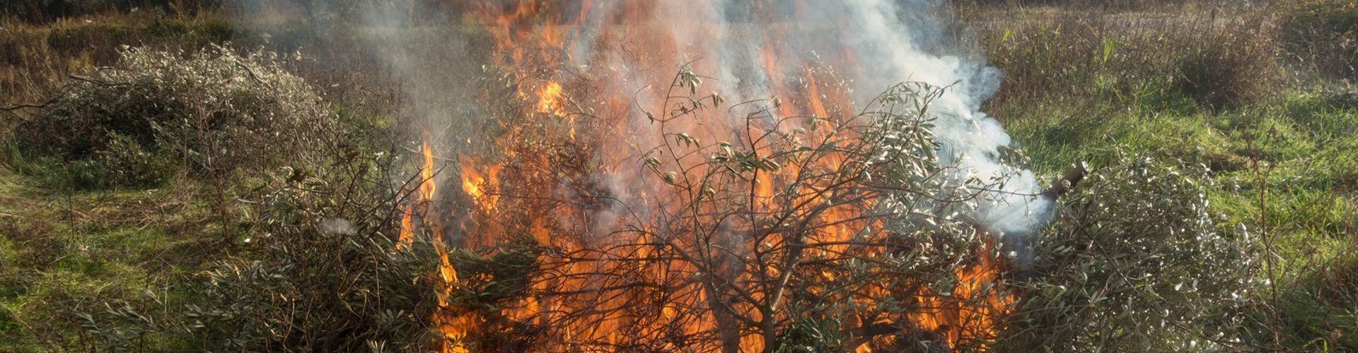 El 17 d’octubre s’obrirà el nou període de cremes de les restes agrícoles
