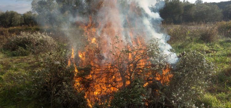 El 17 d’octubre s’obrirà el nou període de cremes de les restes agrícoles