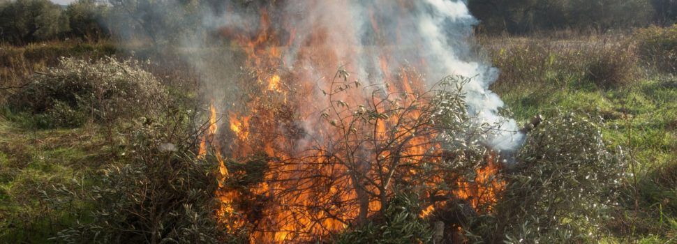 El 17 d’octubre s’obrirà el nou període de cremes de les restes agrícoles