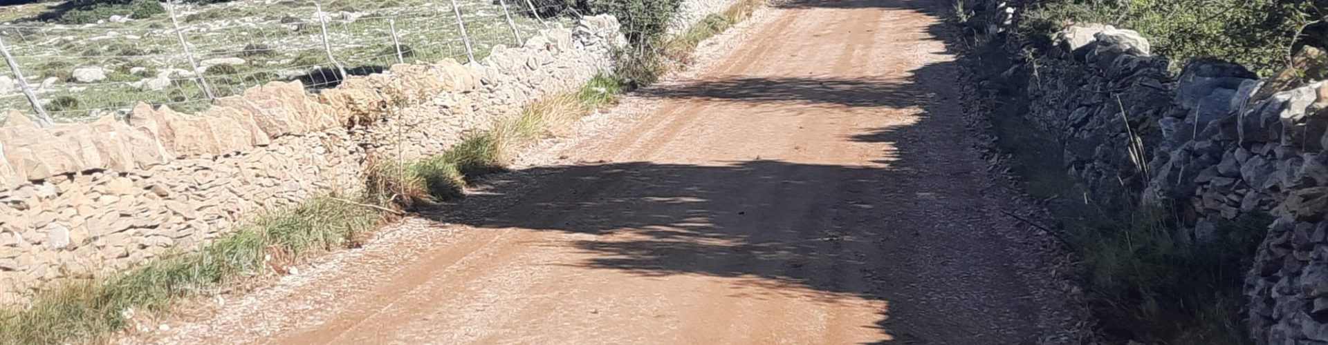 El PSPV Morella denuncia que l’Ajuntament de Morella perdrà una part important de diners del Fons forestal