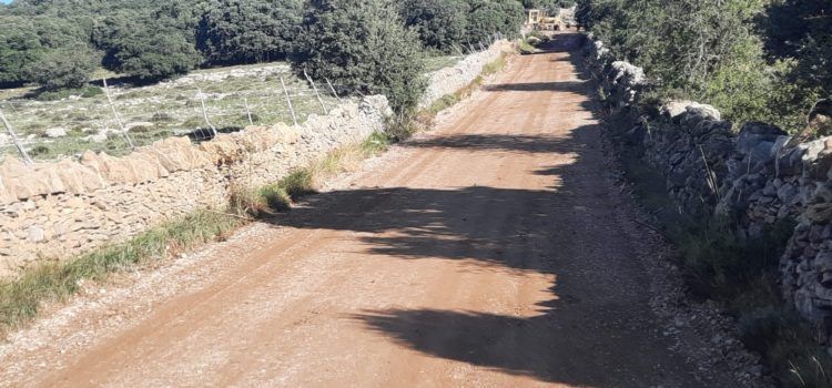 El PSPV Morella denuncia que l’Ajuntament de Morella perdrà una part important de diners del Fons forestal