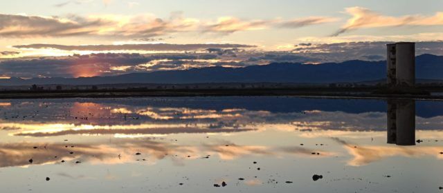 Els colors de la tardor al Delta de l’Ebre (1)