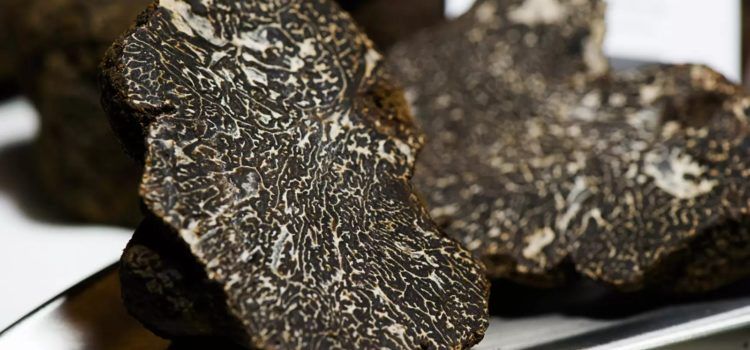 Tradició i avantguarda, el caràcter de la gastronomia Human Land