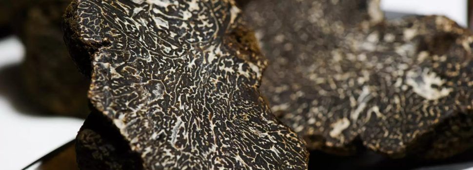 Tradició i avantguarda, el caràcter de la gastronomia Human Land