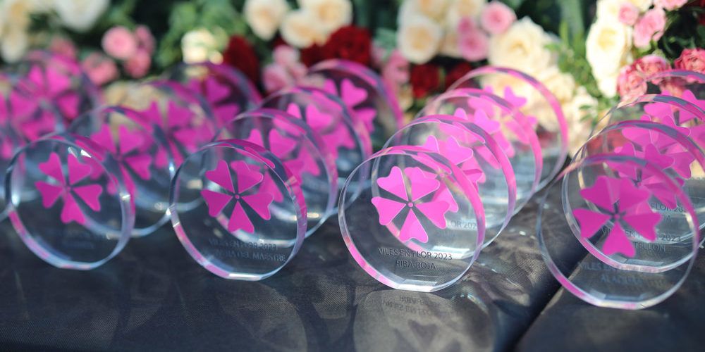 Vinaròs aconsegueix tres Flors d’Honor pel projecte Viles en Flors