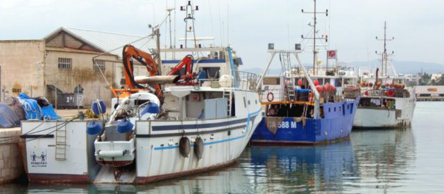 Ben Vist: Barques foranes al port de Vinaròs