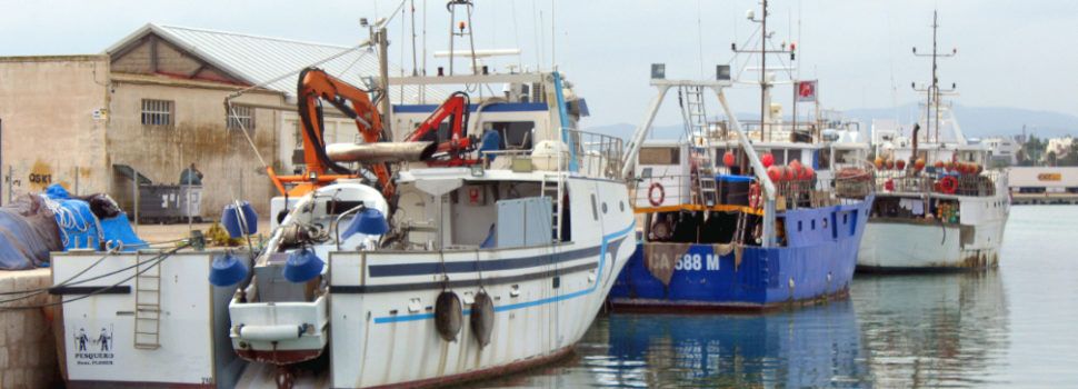 Ben Vist: Barques foranes al port de Vinaròs