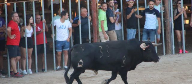 Arxivat l’expedient sancionador contra l’Ajuntament de l’Aldea pel bou de Festes Majors 2022