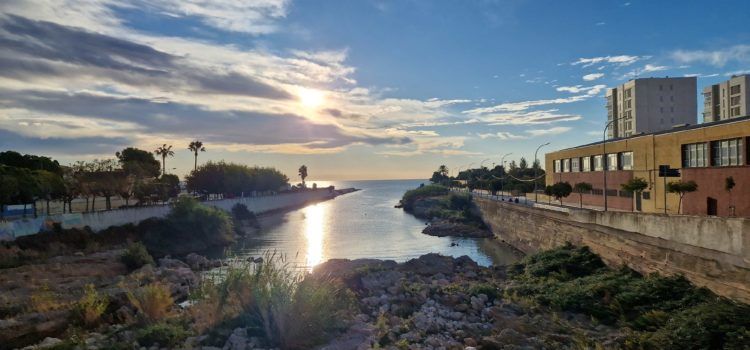 El “parte” del temps: l’aire demà començarà a bufar i amb ganes, 70 o 80 km/h