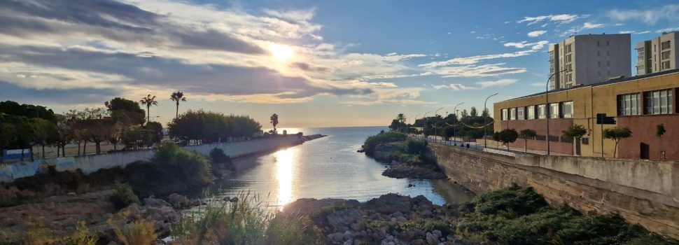 El “parte” del temps: l’aire demà començarà a bufar i amb ganes, 70 o 80 km/h