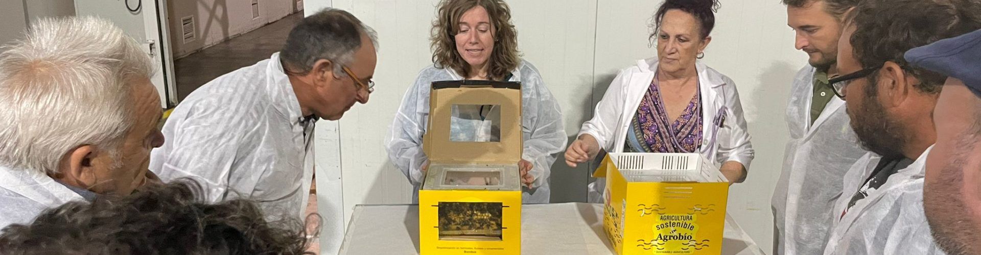 Benihort visita empresas punteras en innovación agrícola de Almería