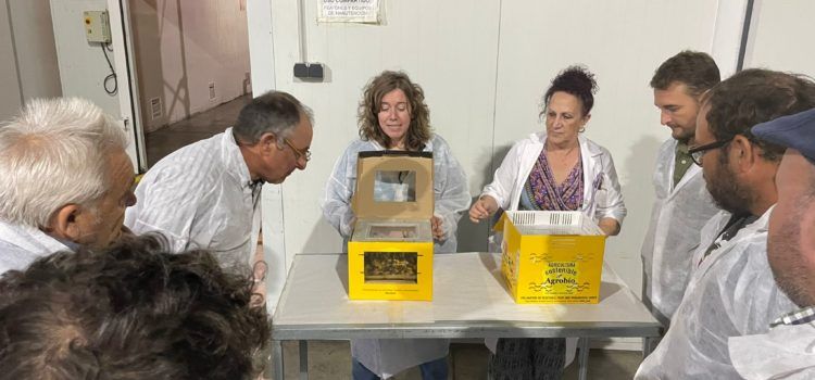 Benihort visita empresas punteras en innovación agrícola de Almería