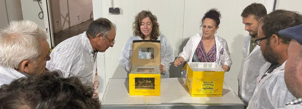 Benihort visita empresas punteras en innovación agrícola de Almería