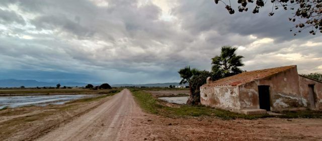 Vinaròs Mail, 5-11-23