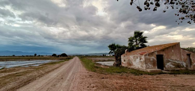 Vinaròs Mail, 5-11-23