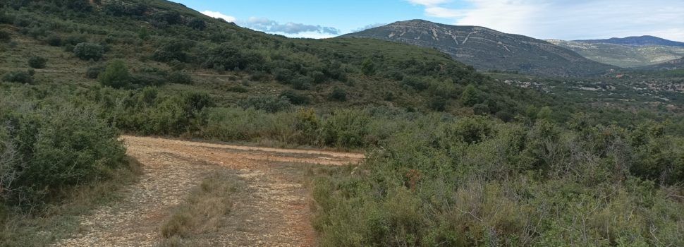 Una nova ruta senderista entre assagadors a l’Alt Maestrat