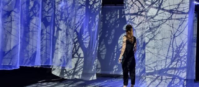 Benicarló i Vinaròs acullen obres del primer cap de semana de la XXXI Mostra Reclam