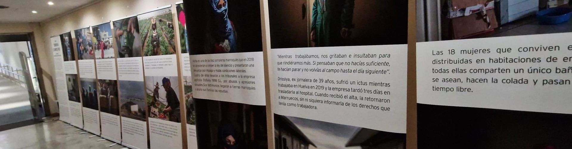 La Biblioteca Municipal acull l’exposició “Sobrevivir en campos de fresas”