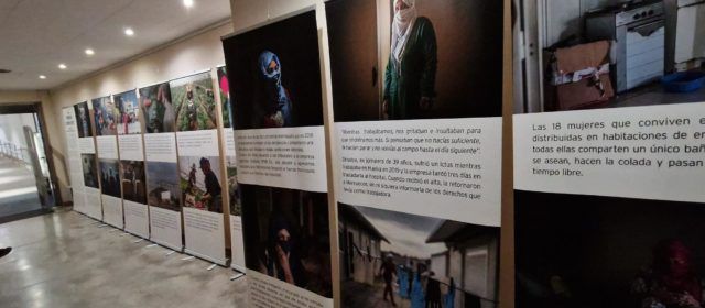 La Biblioteca Municipal acull l’exposició “Sobrevivir en campos de fresas”
