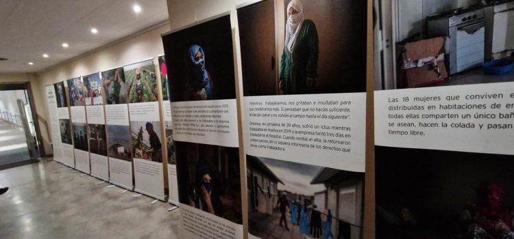 La Biblioteca Municipal acull l’exposició “Sobrevivir en campos de fresas”