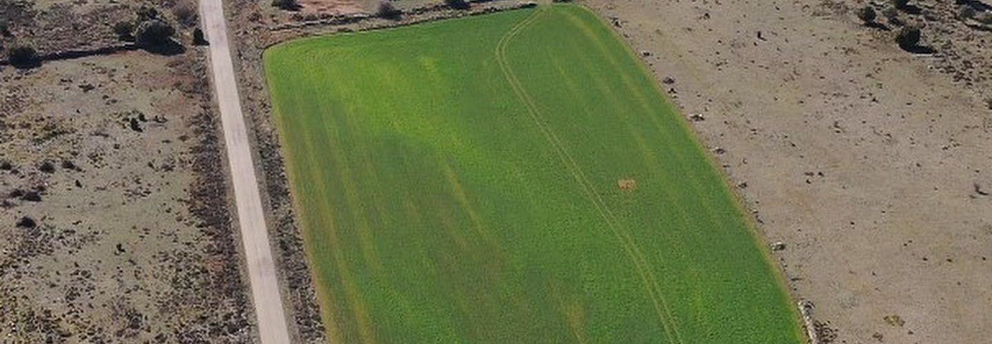 150 persones s’adhereixen a les al·legacions de l’Ajuntament de Morella contra el projecte de planta solar de la Llàcua, els Llívis i el Campello