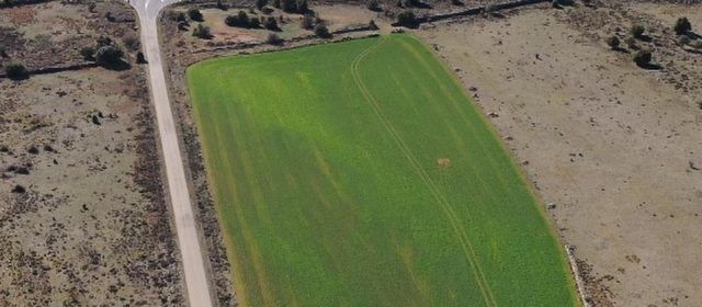 150 persones s’adhereixen a les al·legacions de l’Ajuntament de Morella contra el projecte de planta solar de la Llàcua, els Llívis i el Campello