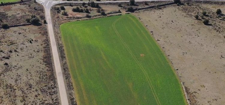 150 persones s’adhereixen a les al·legacions de l’Ajuntament de Morella contra el projecte de planta solar de la Llàcua, els Llívis i el Campello