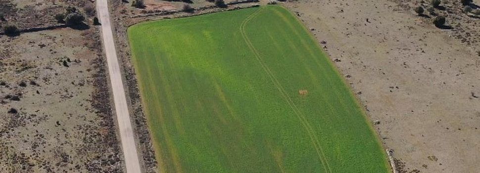 150 persones s’adhereixen a les al·legacions de l’Ajuntament de Morella contra el projecte de planta solar de la Llàcua, els Llívis i el Campello