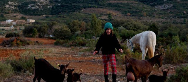 La Diputació de Castelló mostra una província plena de meravelles en el tradicional vídeo de Nadal