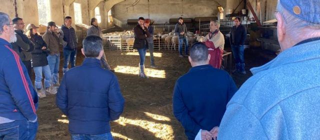 Ortí aplaudeix la sensibilitat de la Diputació amb els ramaders dels Ports després de la indolència del PSOE en la planta de purins de la Todolella