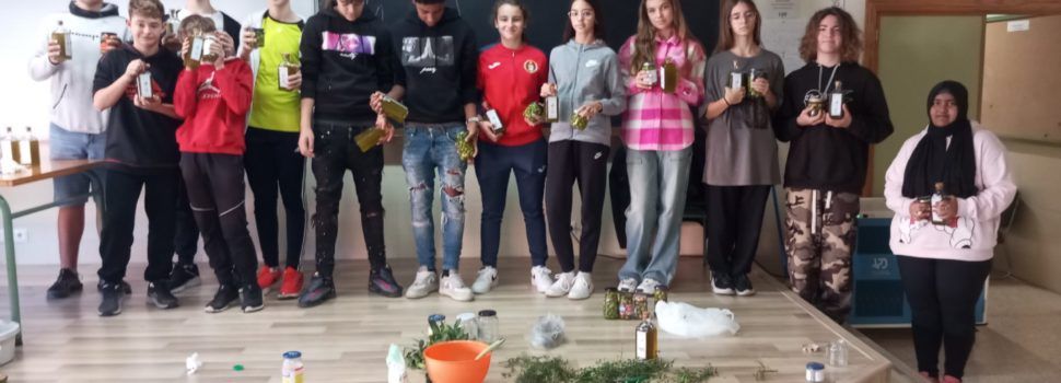 L’IES Vilaplana cull les seues olives i en fa oli