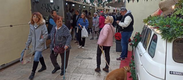 Vídeo i fotos de la segona jornada de la IV Fira Lluís Santapau