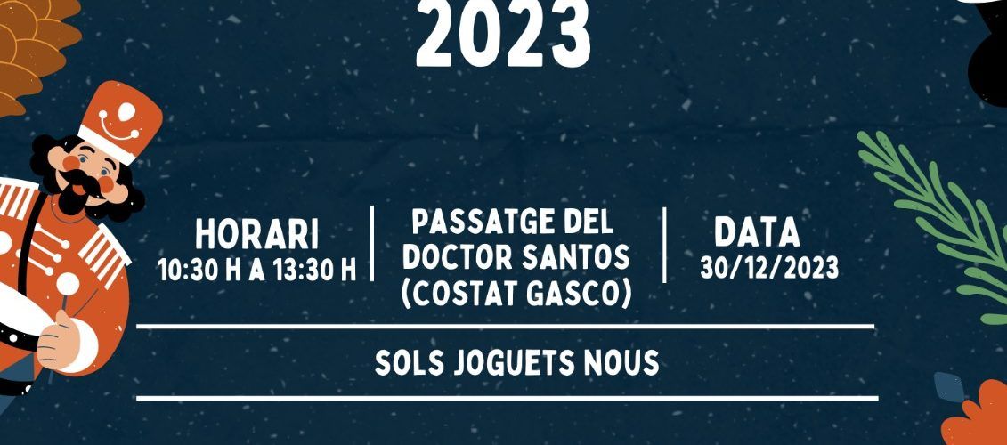 Joves Socialistes de Vinaròs organitzen dues recollides solidàries