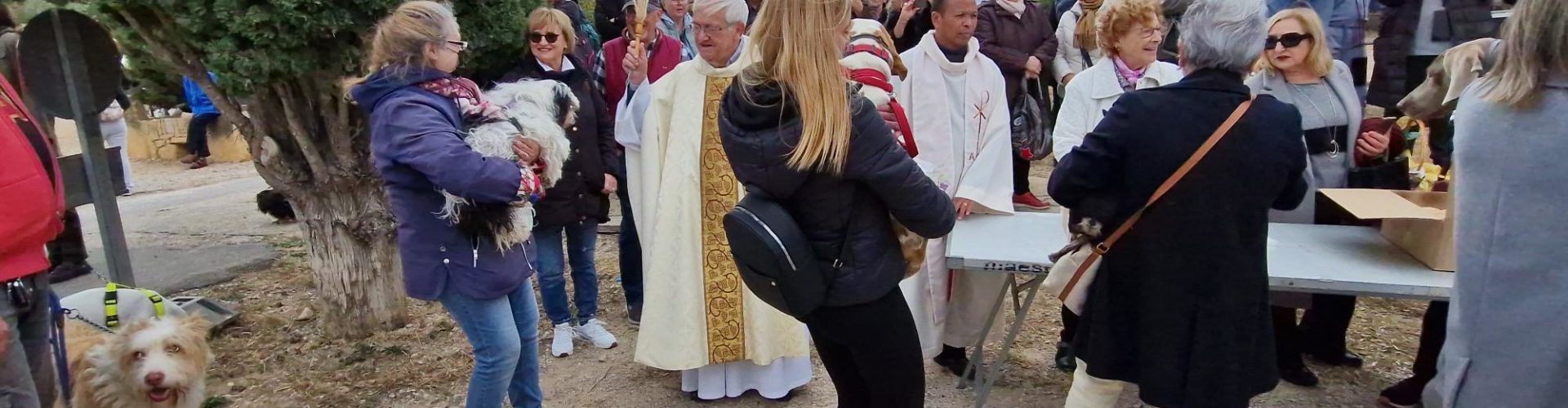 Vídeos i fotos: Sant Antoni a l’ermita amb torrada, missa, processó, benedicció i plantada