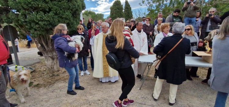 Vídeos i fotos: Sant Antoni a l’ermita amb torrada, missa, processó, benedicció i plantada