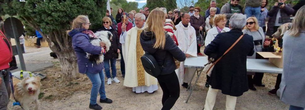 Vídeos i fotos: Sant Antoni a l’ermita amb torrada, missa, processó, benedicció i plantada