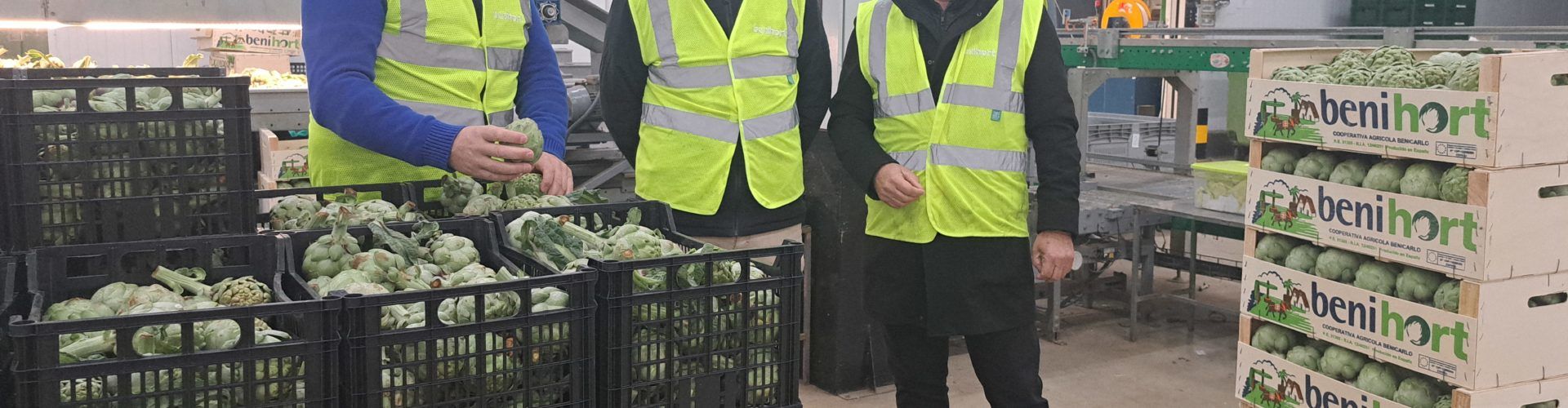 El concejal de Agricultura de Benicarló apoya la alcachofa DOP en Benihort