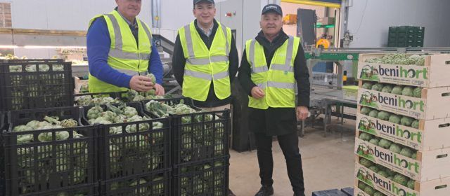 El concejal de Agricultura de Benicarló apoya la alcachofa DOP en Benihort