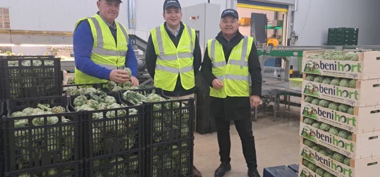 El concejal de Agricultura de Benicarló apoya la alcachofa DOP en Benihort