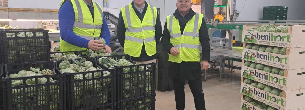 El concejal de Agricultura de Benicarló apoya la alcachofa DOP en Benihort