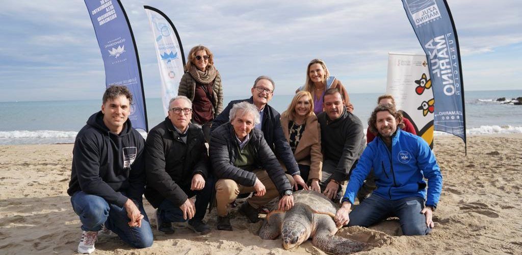 Pradas libera en las playas de la Serra d’Irta la 777ª tortuga recuperada en L’Oceanogràfic desde 2007