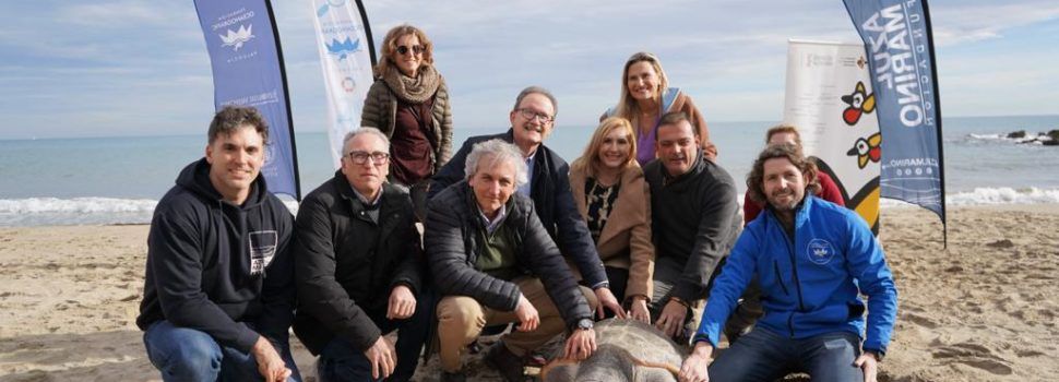 Pradas libera en las playas de la Serra d’Irta la 777ª tortuga recuperada en L’Oceanogràfic desde 2007