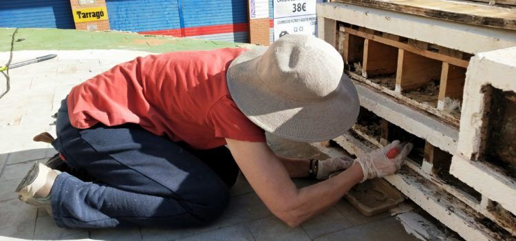 APNAL-Ecologistas en Acción mantiene la colonia de cría de vencejos situada en la plaza Telers de Benicarló