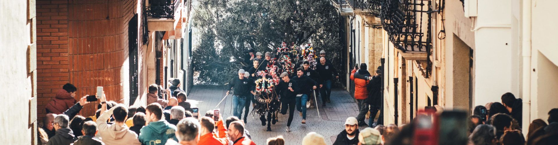 La foguera d’Albocàsser per Sant Antoni ja espera per a ser cremada