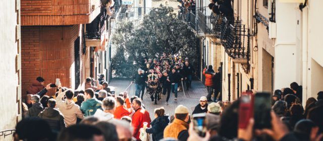 La foguera d’Albocàsser per Sant Antoni ja espera per a ser cremada